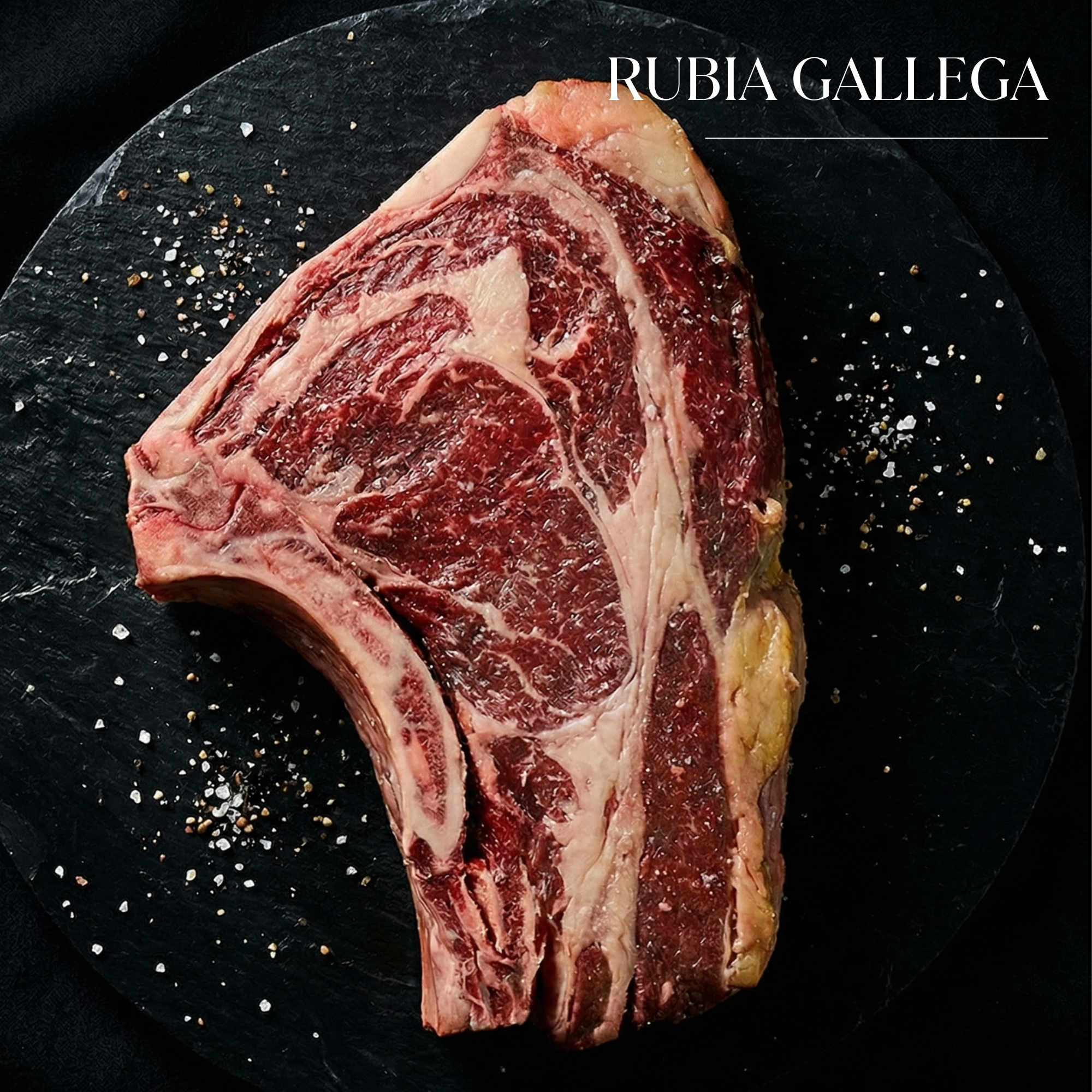 【世界一のステーキに認定】スペイン産 長期熟成 ルビアガジェガ牛 ( ルビアガレガ ) 骨付きリブロイン