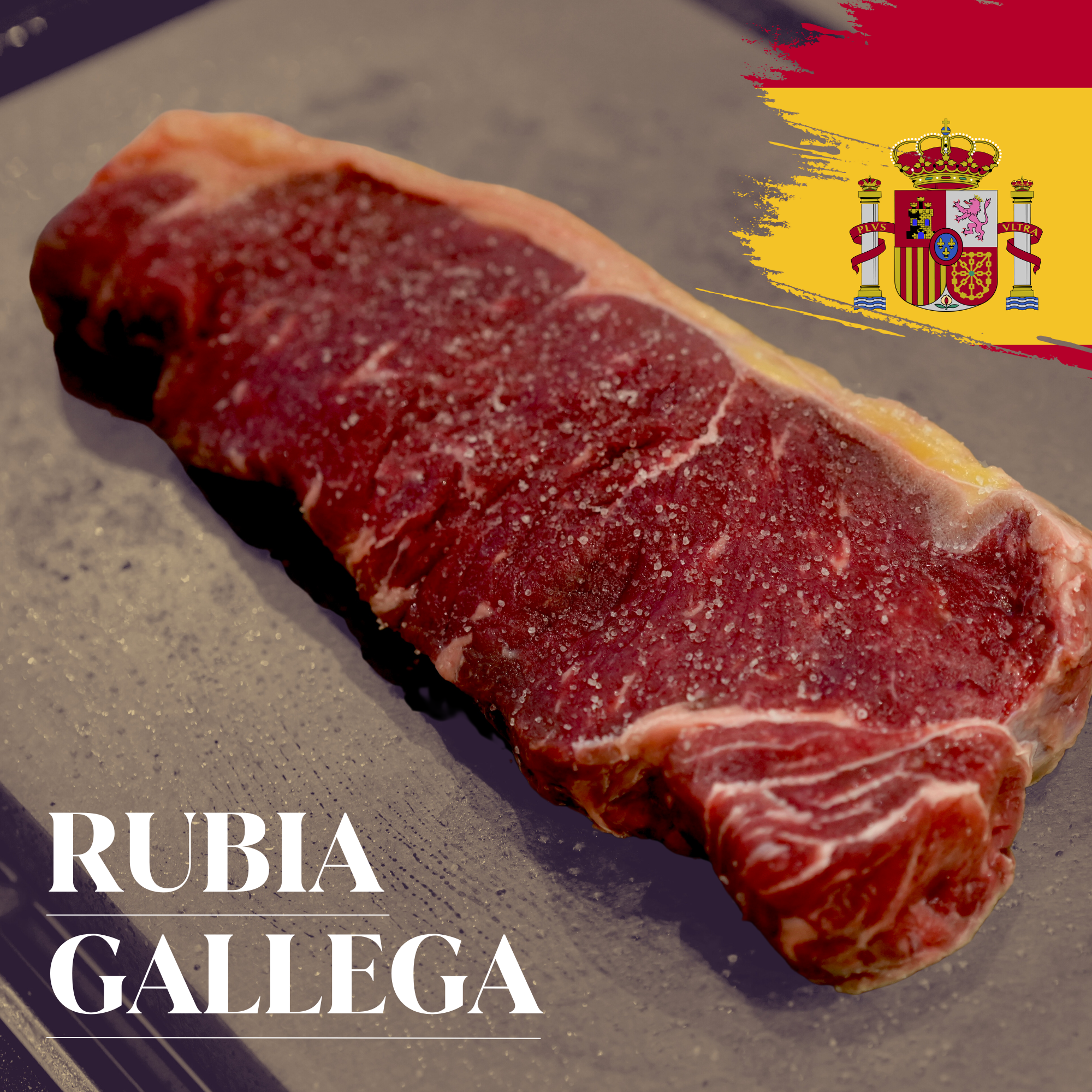 【世界一のステーキに認定】スペイン産 長期熟成 ルビアガジェガ牛 ( ルビアガレガ ) サーロイン