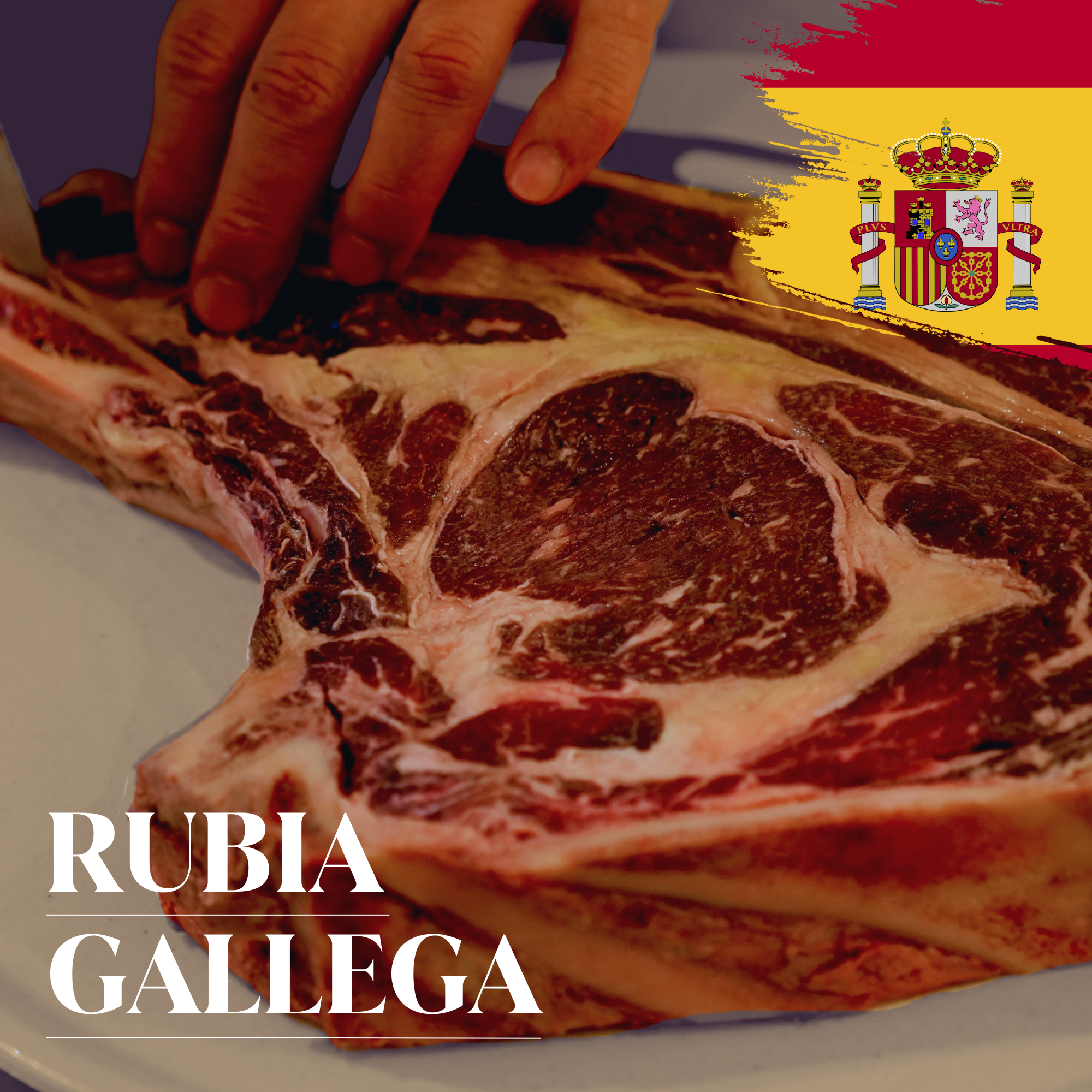 【世界一のステーキに認定】スペイン産 長期熟成 ルビアガジェガ牛 ( ルビアガレガ ) 骨付きリブロイン