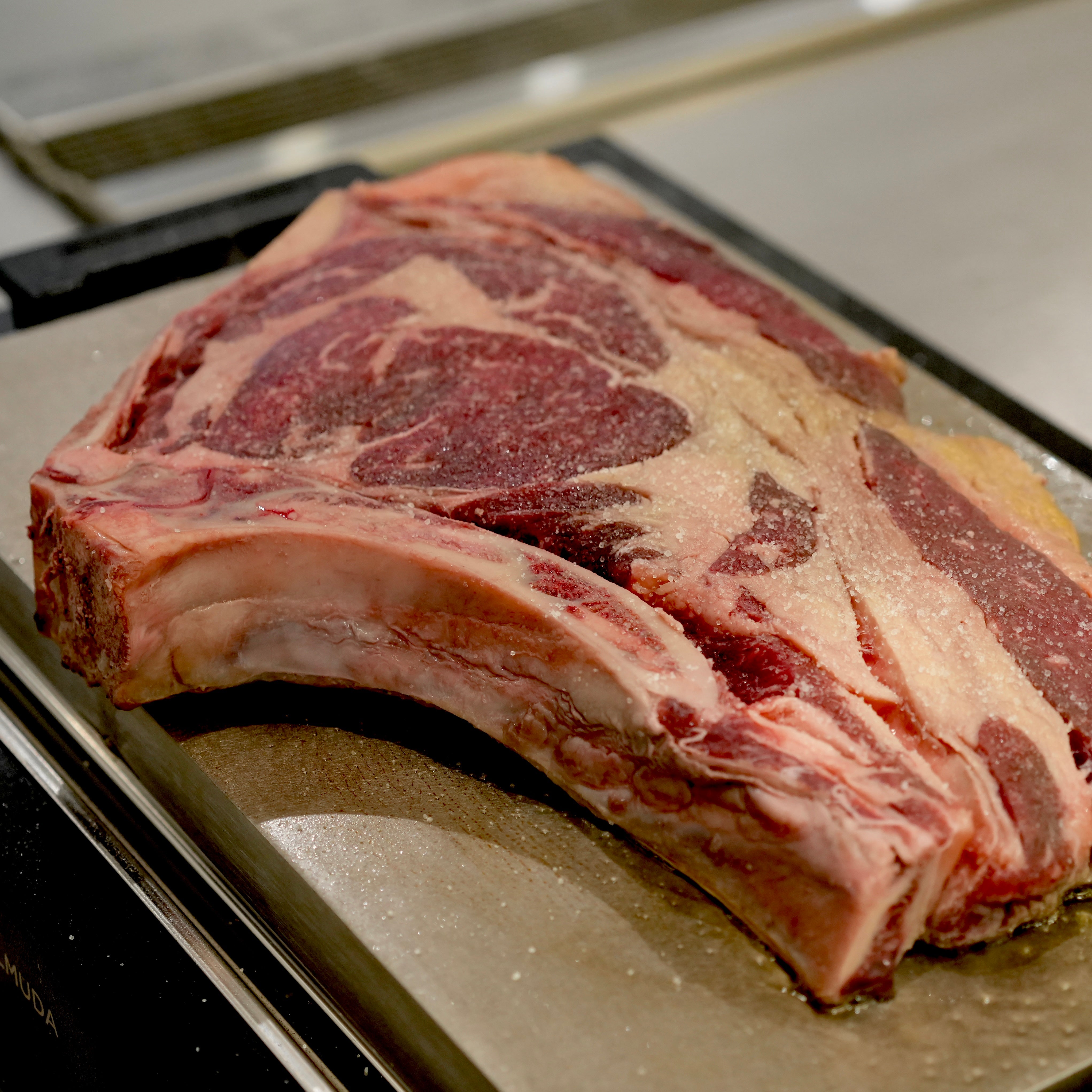 【世界一のステーキに認定】スペイン産 長期熟成 ルビアガジェガ牛 ( ルビアガレガ ) 骨付きリブロイン