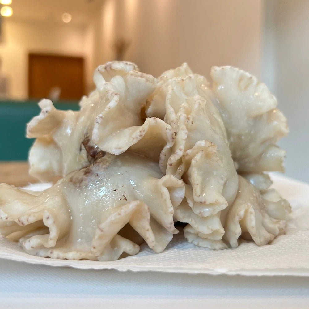 国産豚 キクアブラ(大トロホルモン) 約500㌘