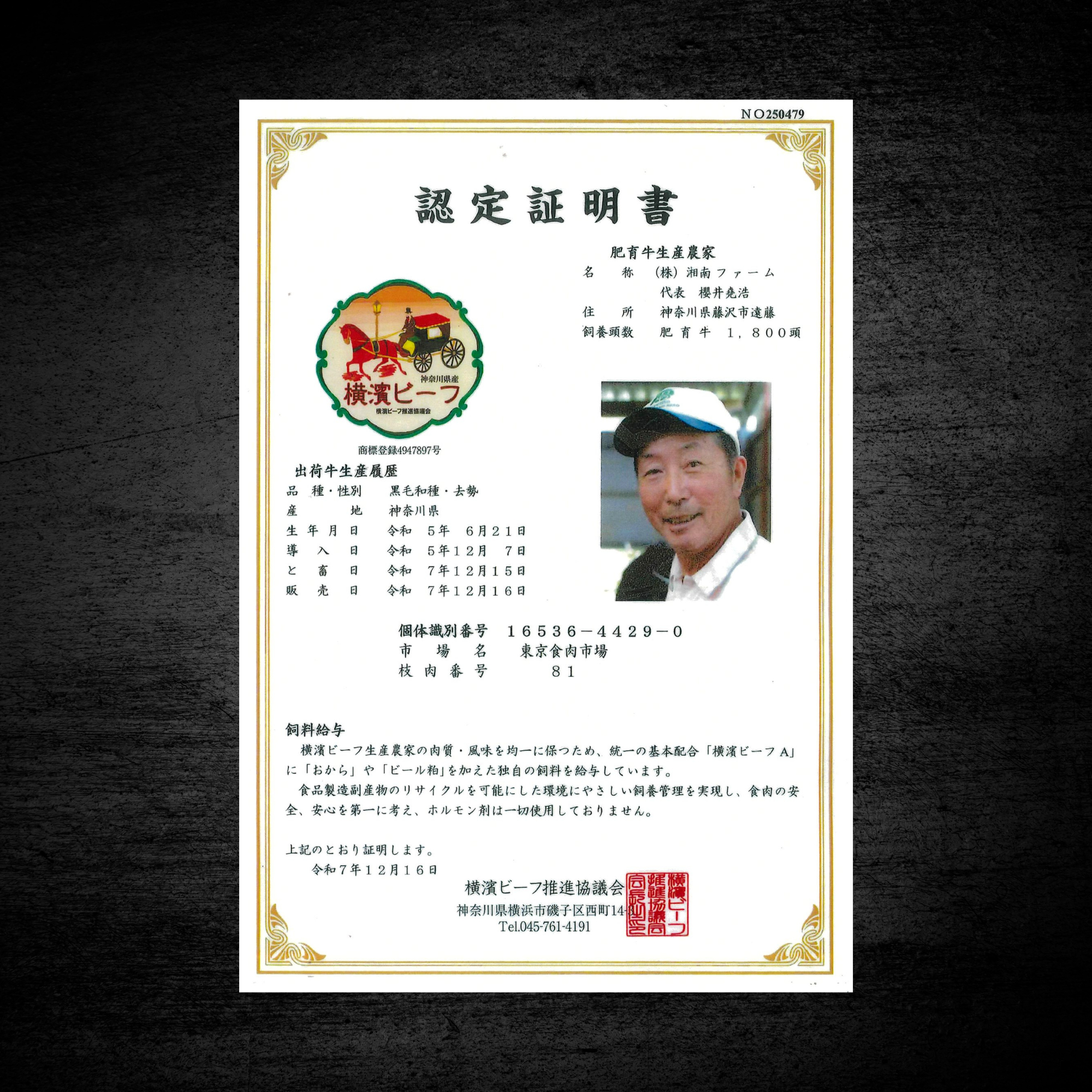 黒毛和牛 横濱ビーフ ヒレ シャトーブリアン ステーキカット